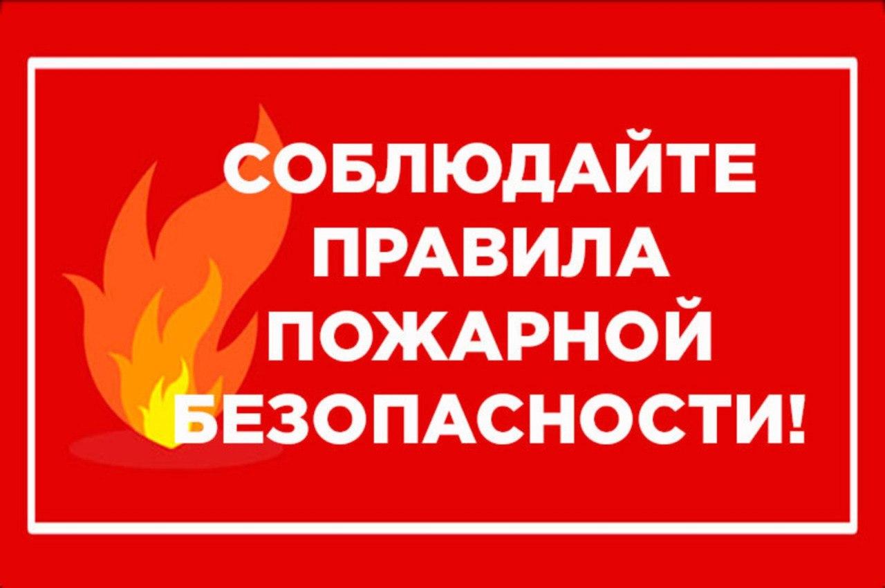 В Ставрополе в 2023 году за нарушение правил пожарной безопасности  привлекли почти 270 человек